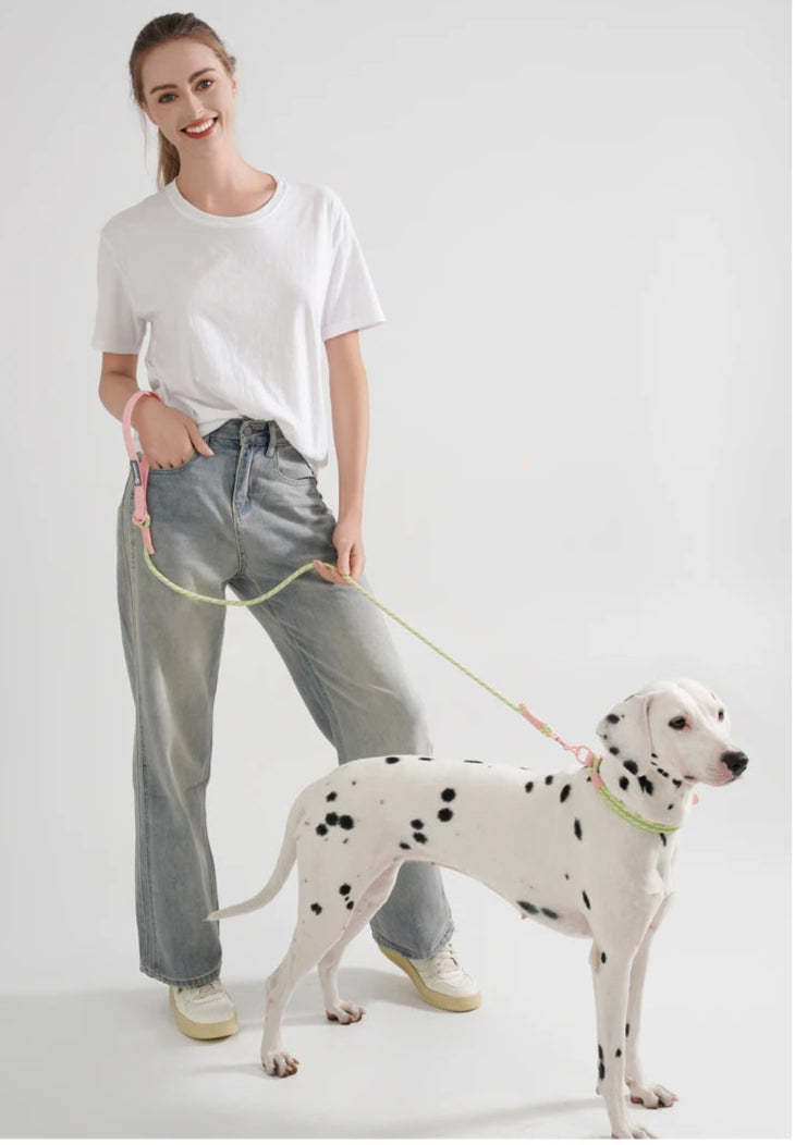 Waopet - Leiband - Sugar Sweet